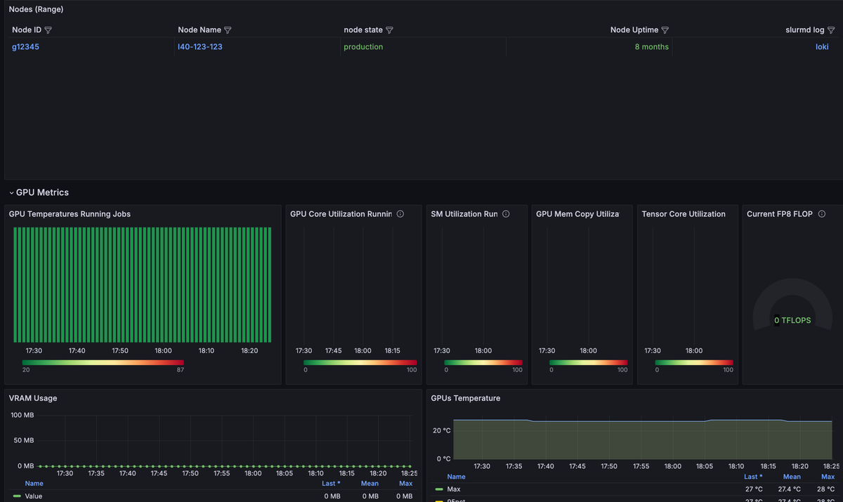 Screenshot of the Slurm job / metrics dashboard node information